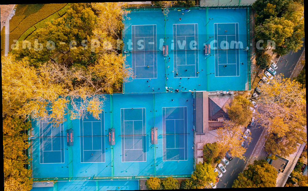 横向时间轴图形，节点串联上线、直播导航、小屏版与季后赛专题四个阶段